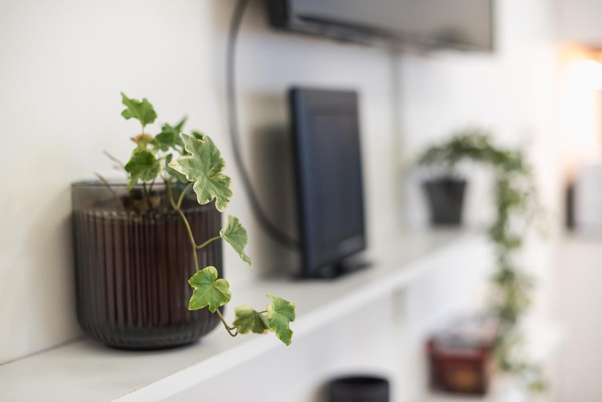 Modern Apartment 200M From Acropolis 100Mbps Netflix Athens Ngoại thất bức ảnh